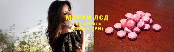 индика Армянск