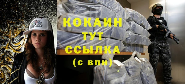 индика Армянск