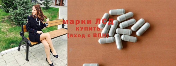 индика Армянск